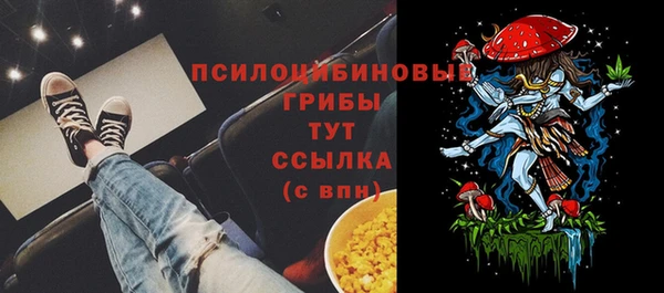 ПСИЛОЦИБИНОВЫЕ ГРИБЫ Арсеньев