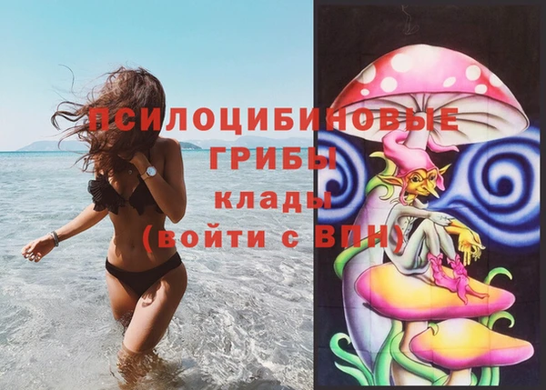 ECSTASY Аркадак