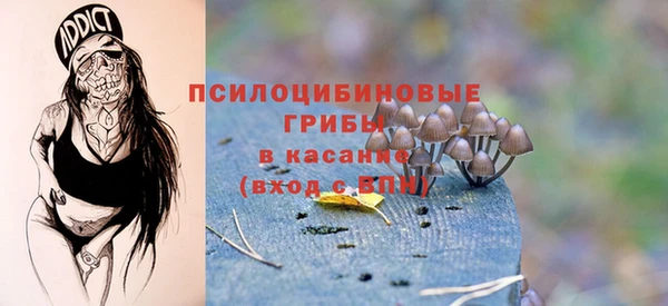 ECSTASY Аркадак
